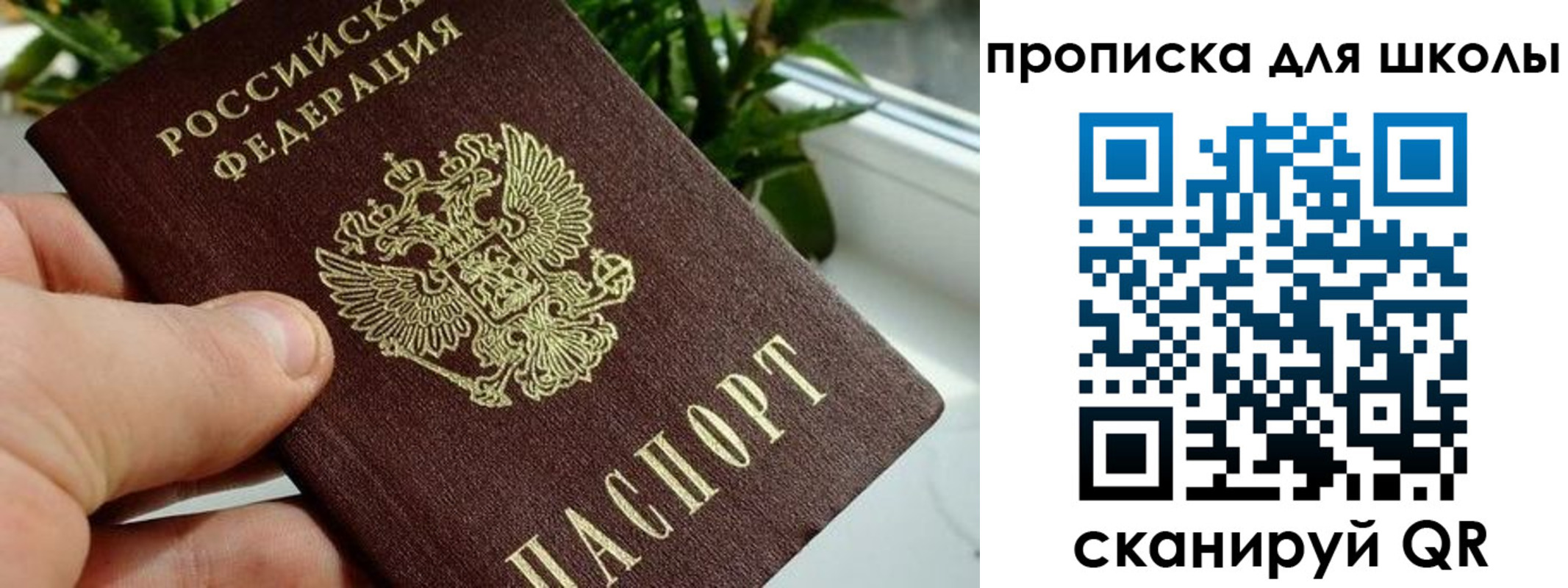 найти адрес прописки в Подольске